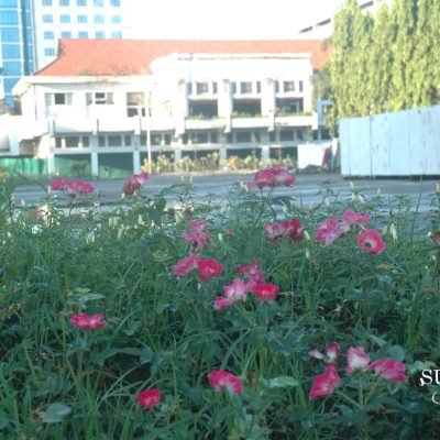 Bertanya tentang Jatidiri Alun-alun Kota Surabaya di Balai Pemuda