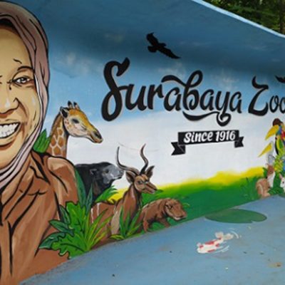 Kebun Binatang Surabaya Siap-siap Buka Lagi Juli 2020